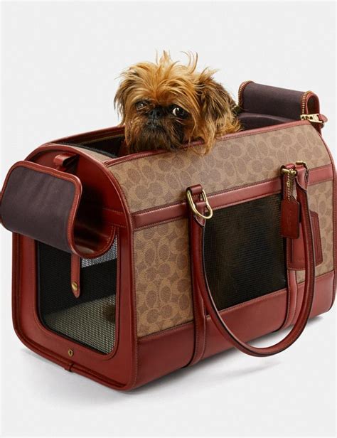 coach dog carrier